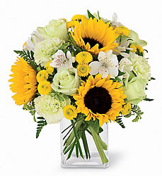Sunset Bouquet from Clermont Florist & Wine Shop, flower shop in Clermont